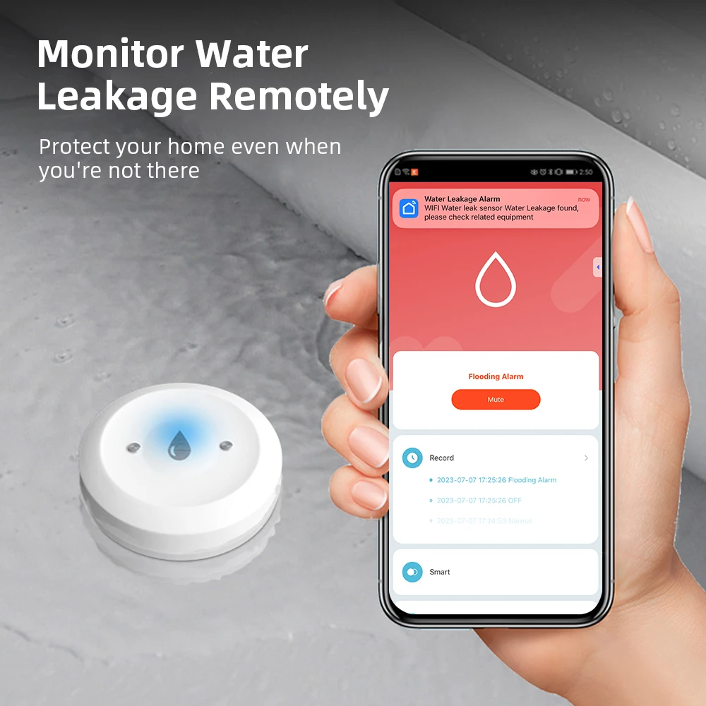 Home Security With Ai - Détecteur de fuite d'eau Zigbee pour