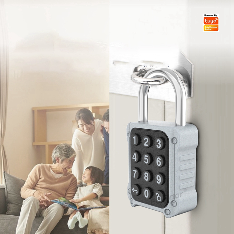 Door Lock Smart Keypad - EGFirtor Tuya APP Serrure de porte