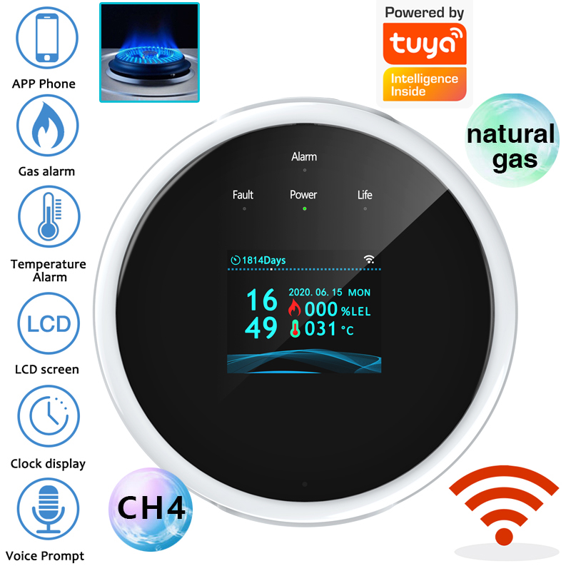 Home Security With Ai - Capteur d'alarme de gaz WiFi 2.4G,