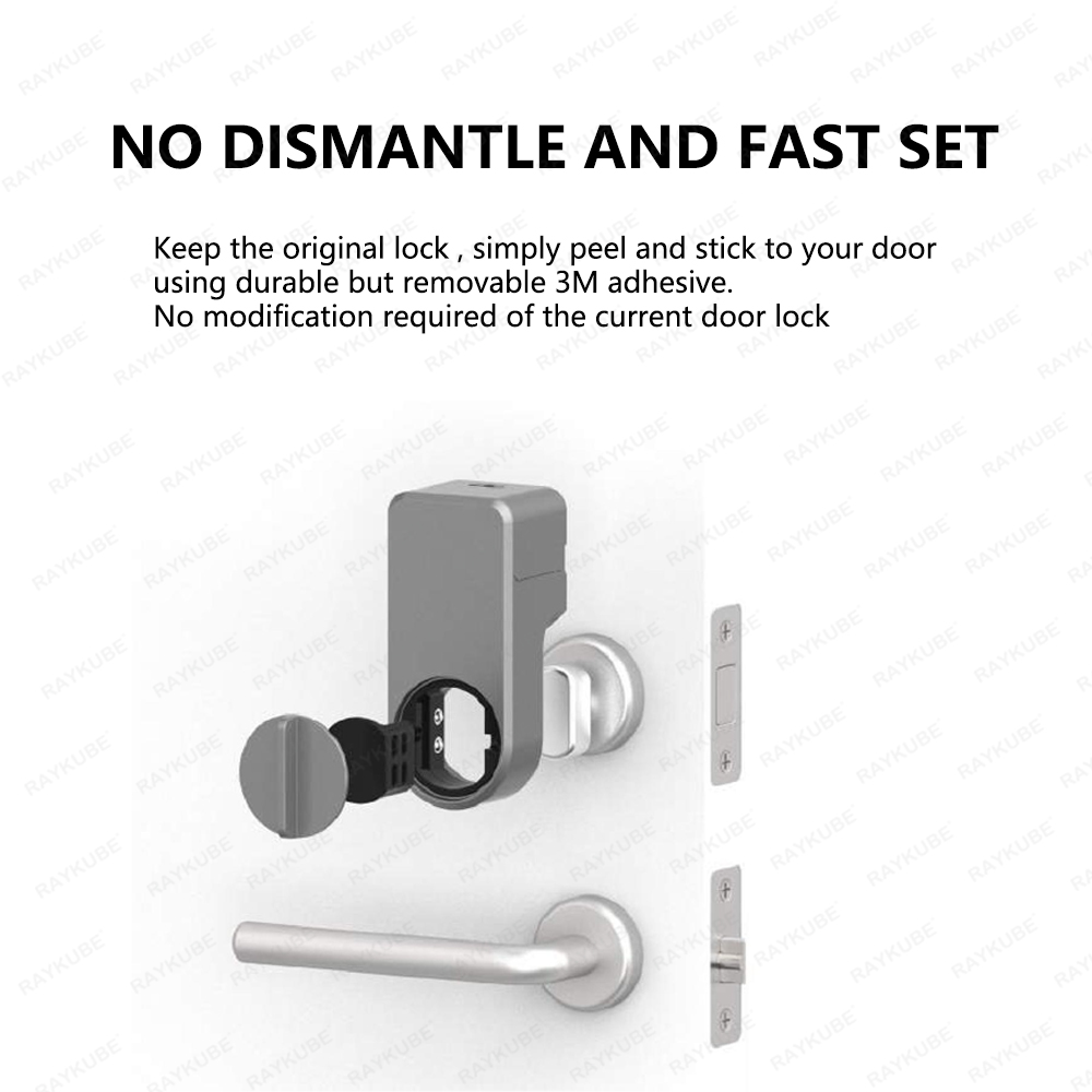 RAYKUBE A1 Pro Tuya BEL ensemb - Door Lock Smart Keypad avis et prix