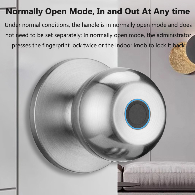 Tuya – serrure de porte intell - Door Lock Smart Keypad avis et prix