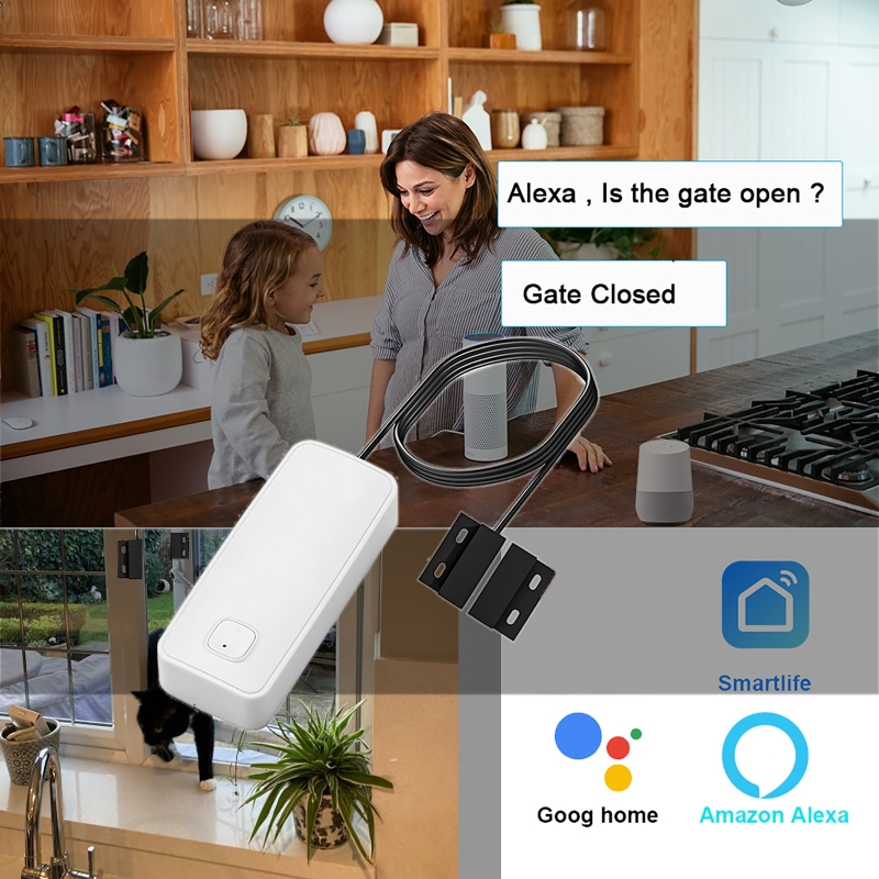 Détecteur magnétique intellige - Home Security With Ai avis et prix