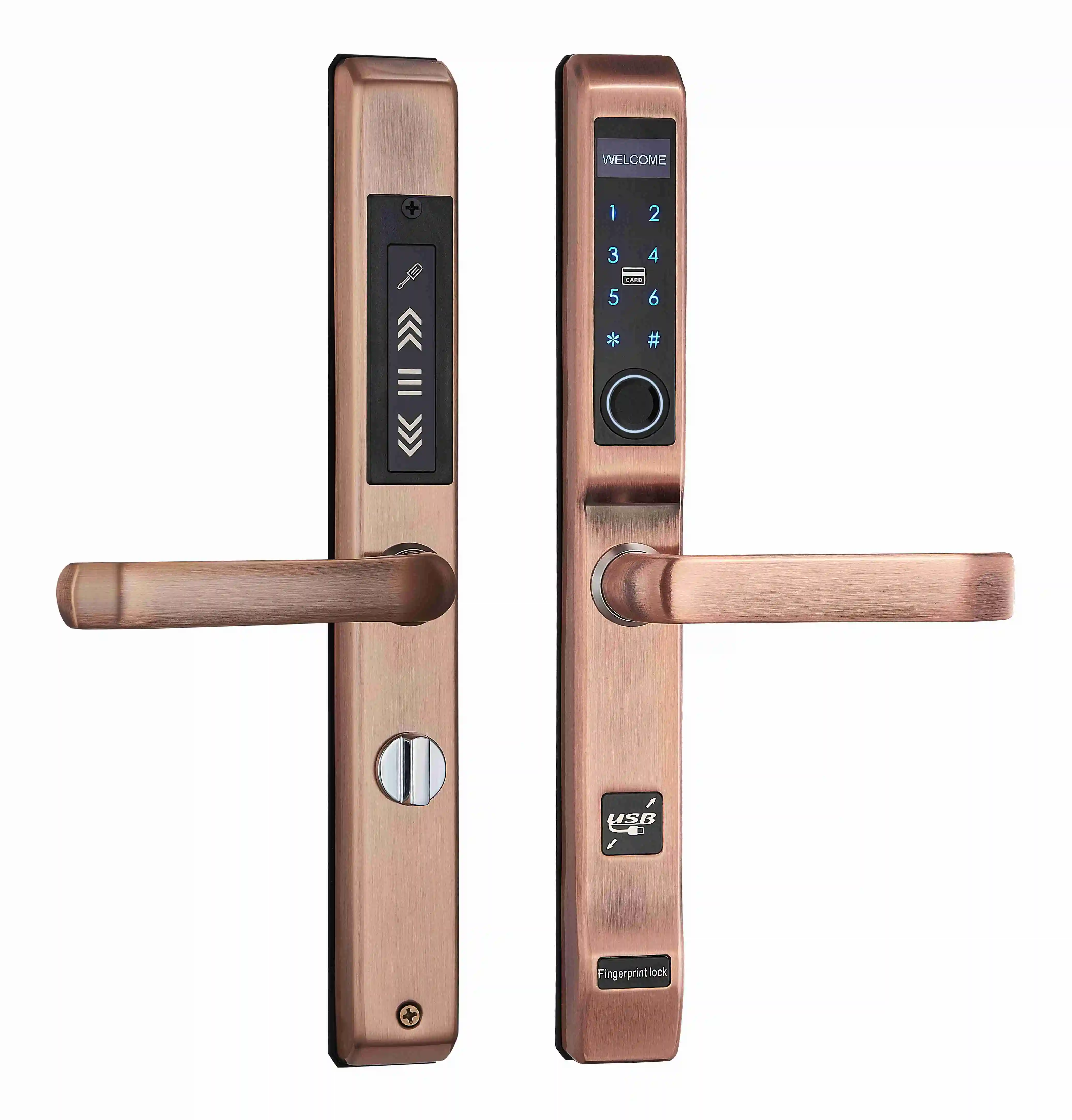 Serrure de porte intelligente  - Home Security Electric Fence avis et prix