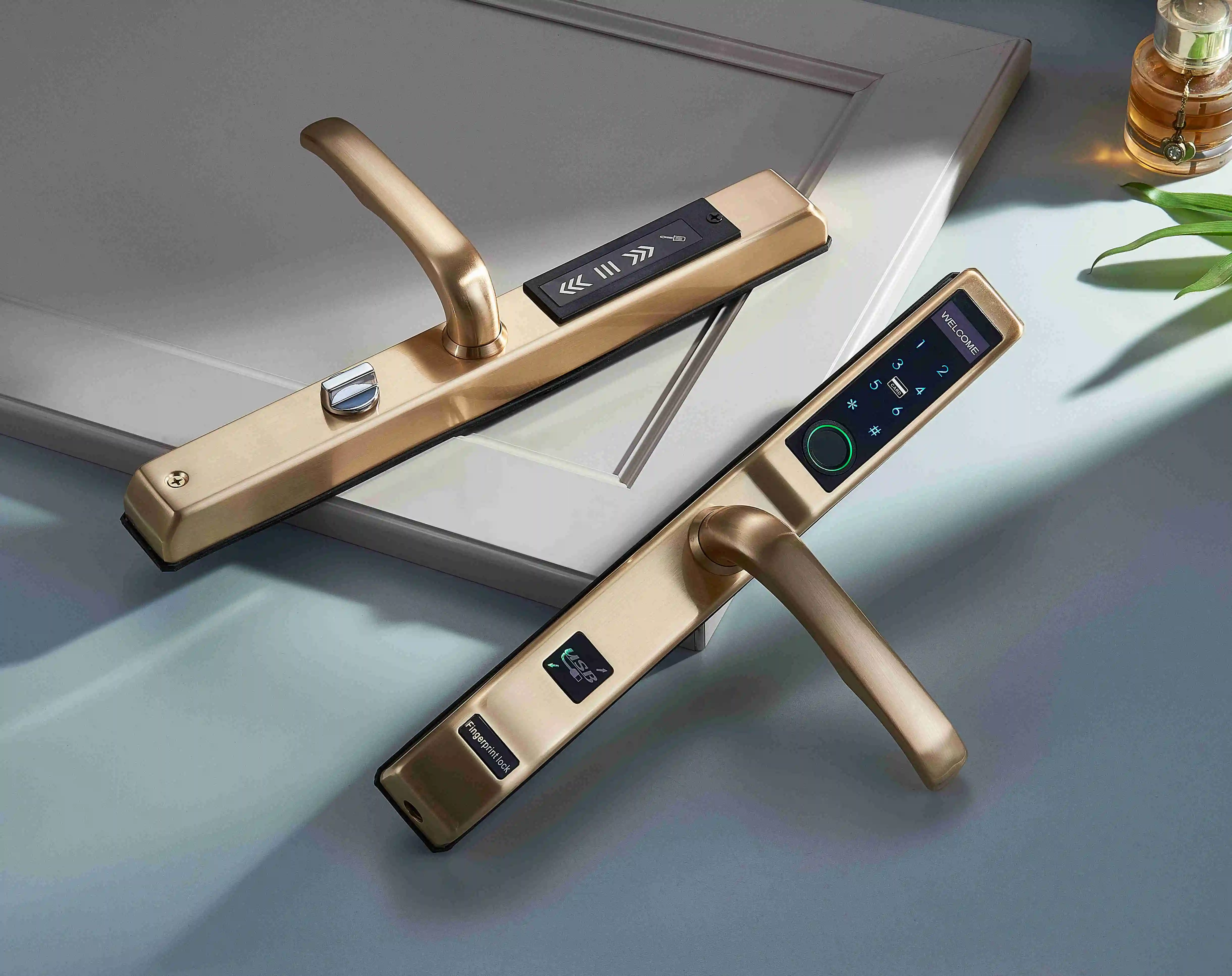 Serrure de porte intelligente  - Home Security Electric Fence avis et prix