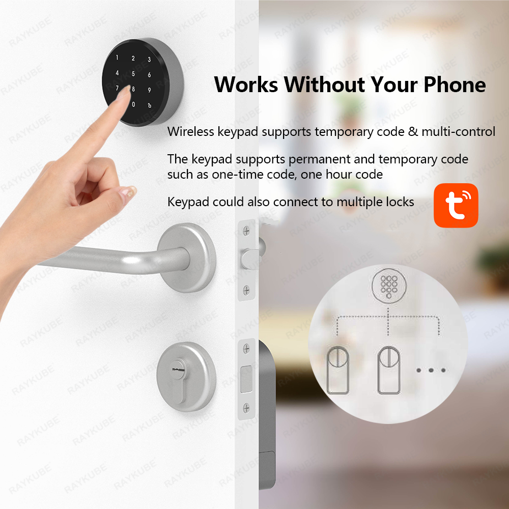 RAYKUBE A1 Pro Tuya BEL ensemb - Door Lock Smart Keypad avis et prix