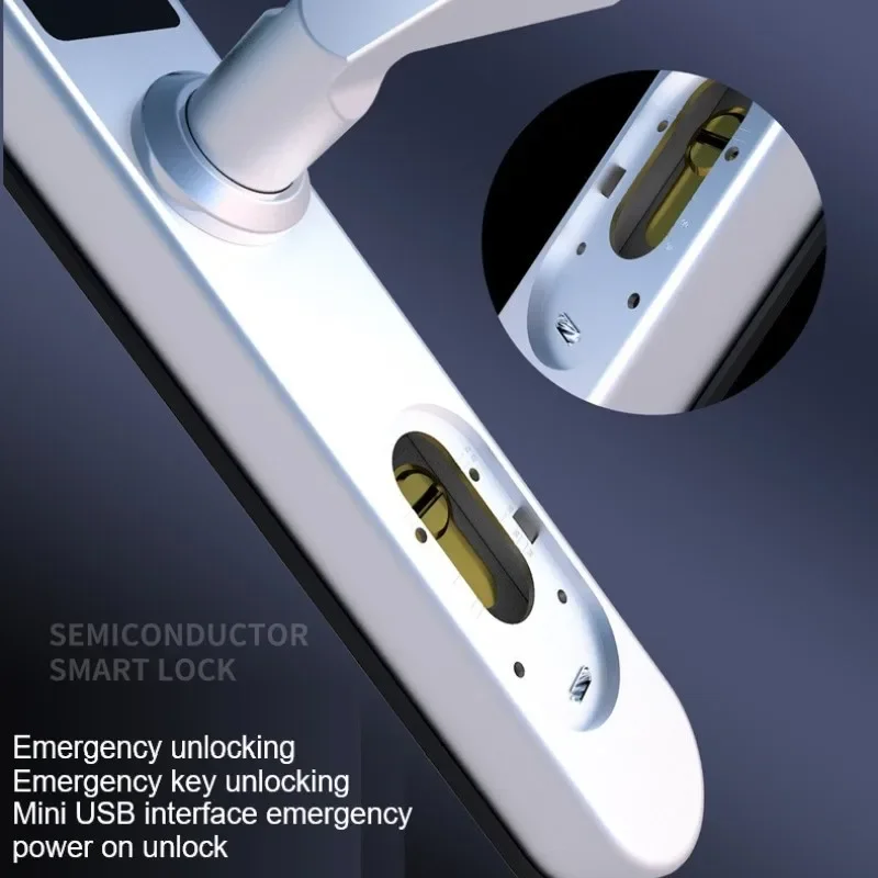 TTLock-Serrure de porte intell - Door Lock Smart Keypad avis et prix
