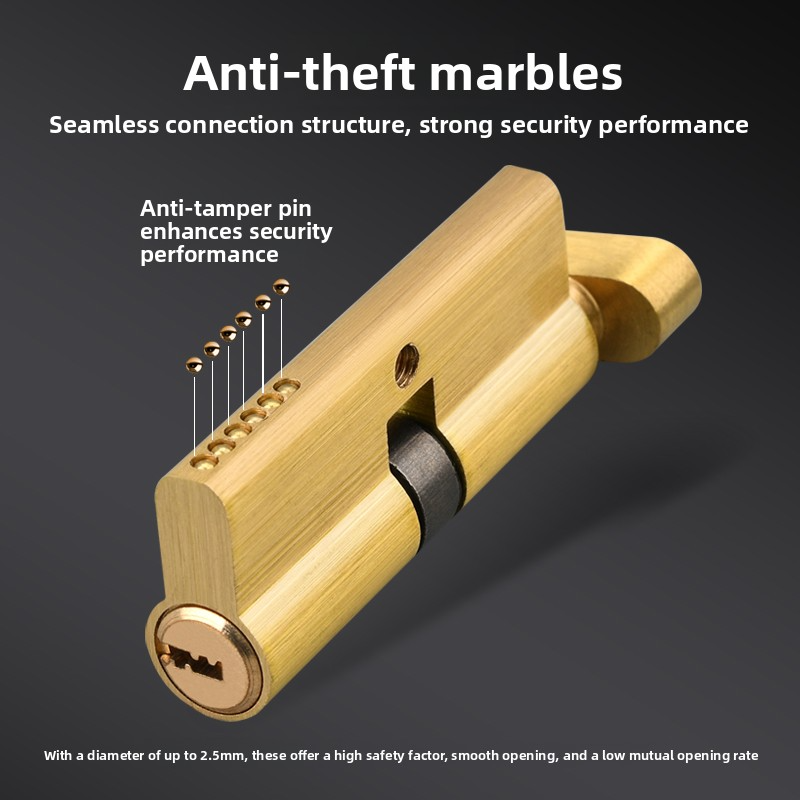 Serrure à cylindre de porte bi - Home Security Ideas avis et prix