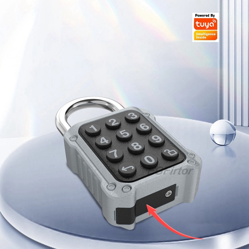 EGFirtor Tuya APP Serrure de p - Door Lock Smart Keypad avis et prix