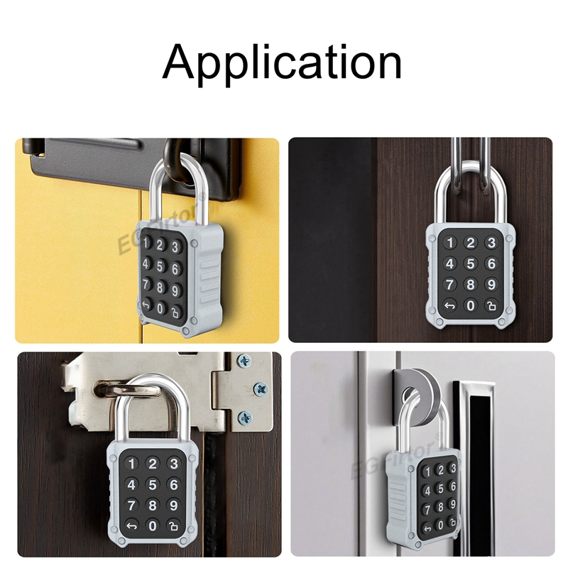 EGFirtor Tuya APP Serrure de p - Door Lock Smart Keypad avis et prix