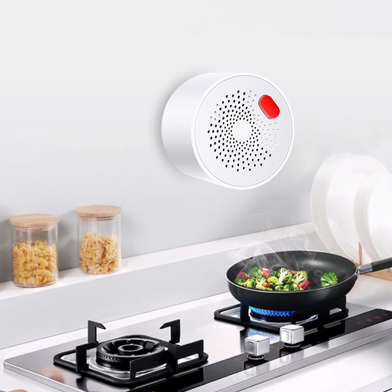 Tuya-Capteur de gaz naturel do - Home Security With Ai avis et prix