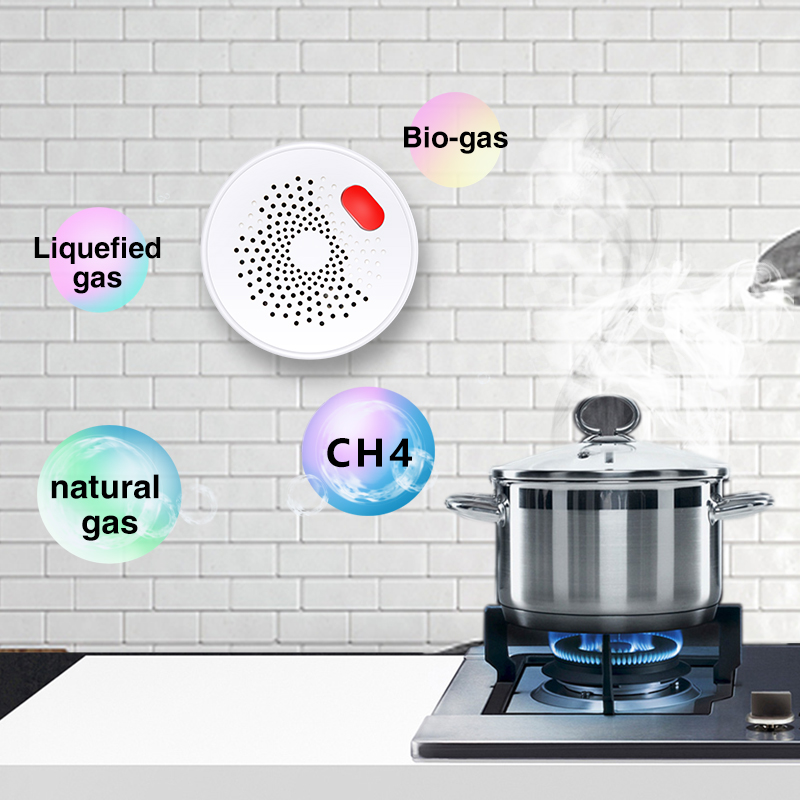 Tuya-Capteur de gaz naturel do - Home Security With Ai avis et prix