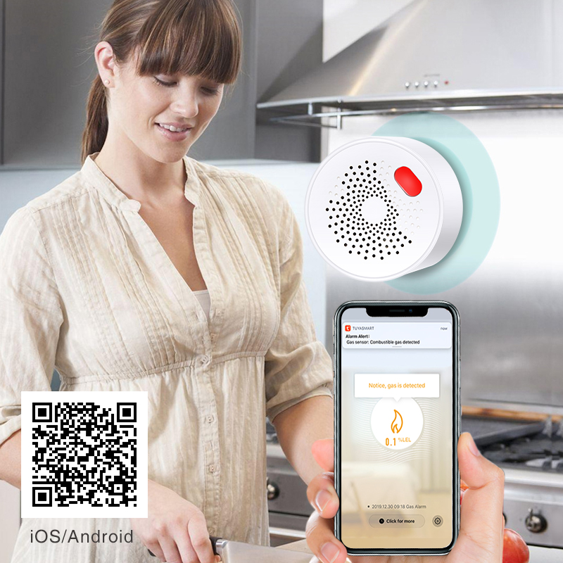 Tuya-Capteur de gaz naturel do - Home Security With Ai avis et prix